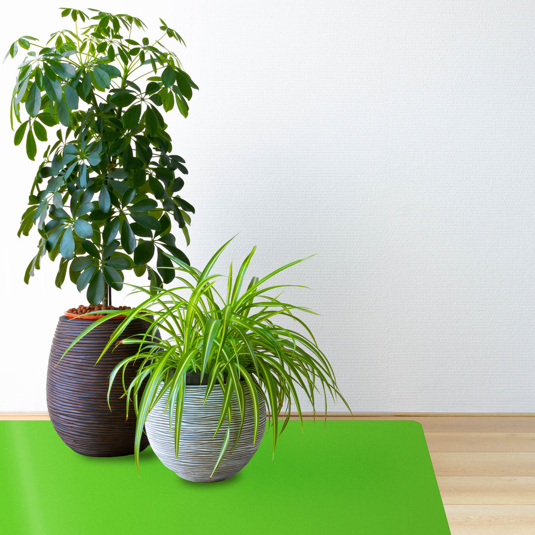 Topfpflanzen auf grüner Bodenschutzmatte CHROMA | Grün