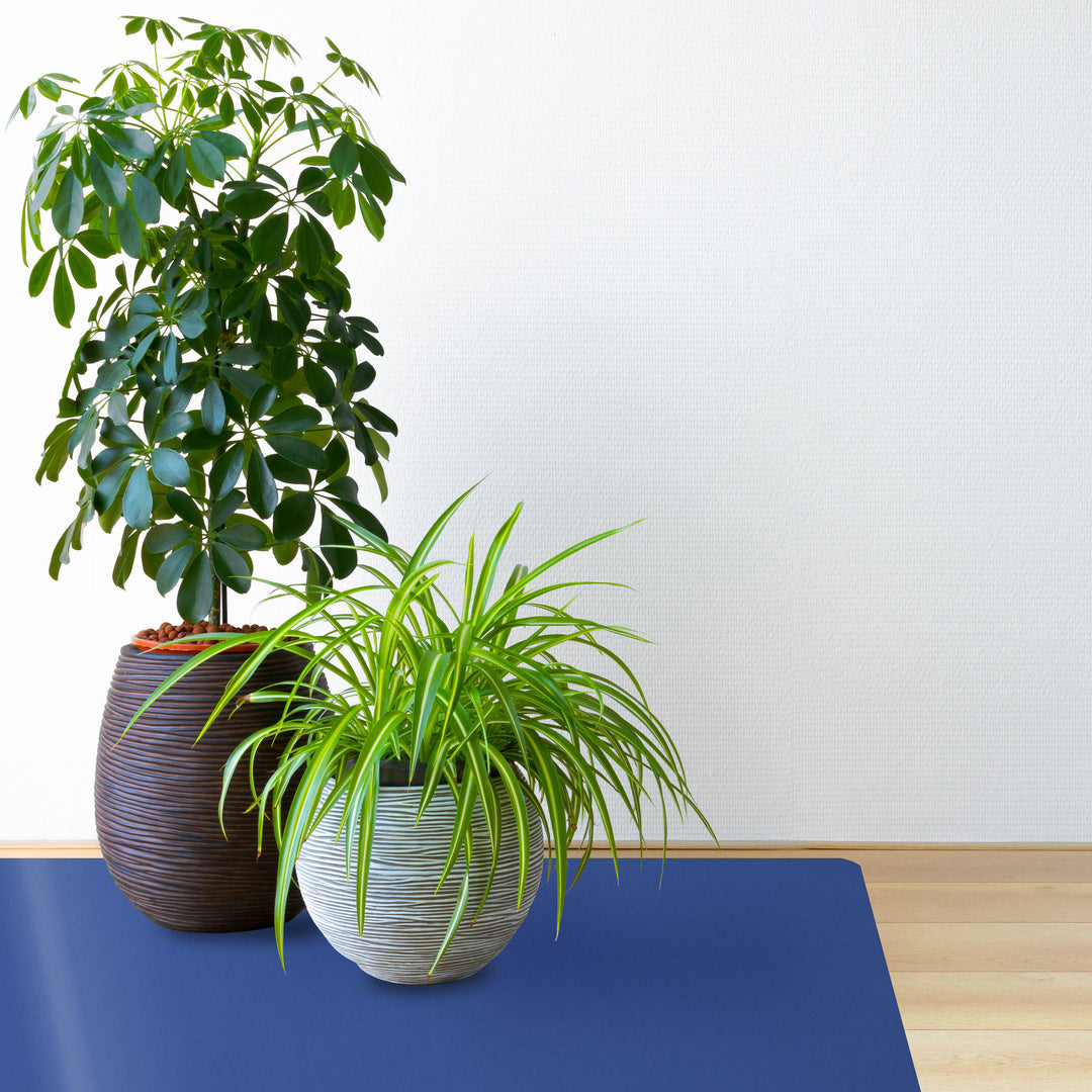 Pflanzen auf einer blauen Bodenschutzmatte CHROMA | Blau