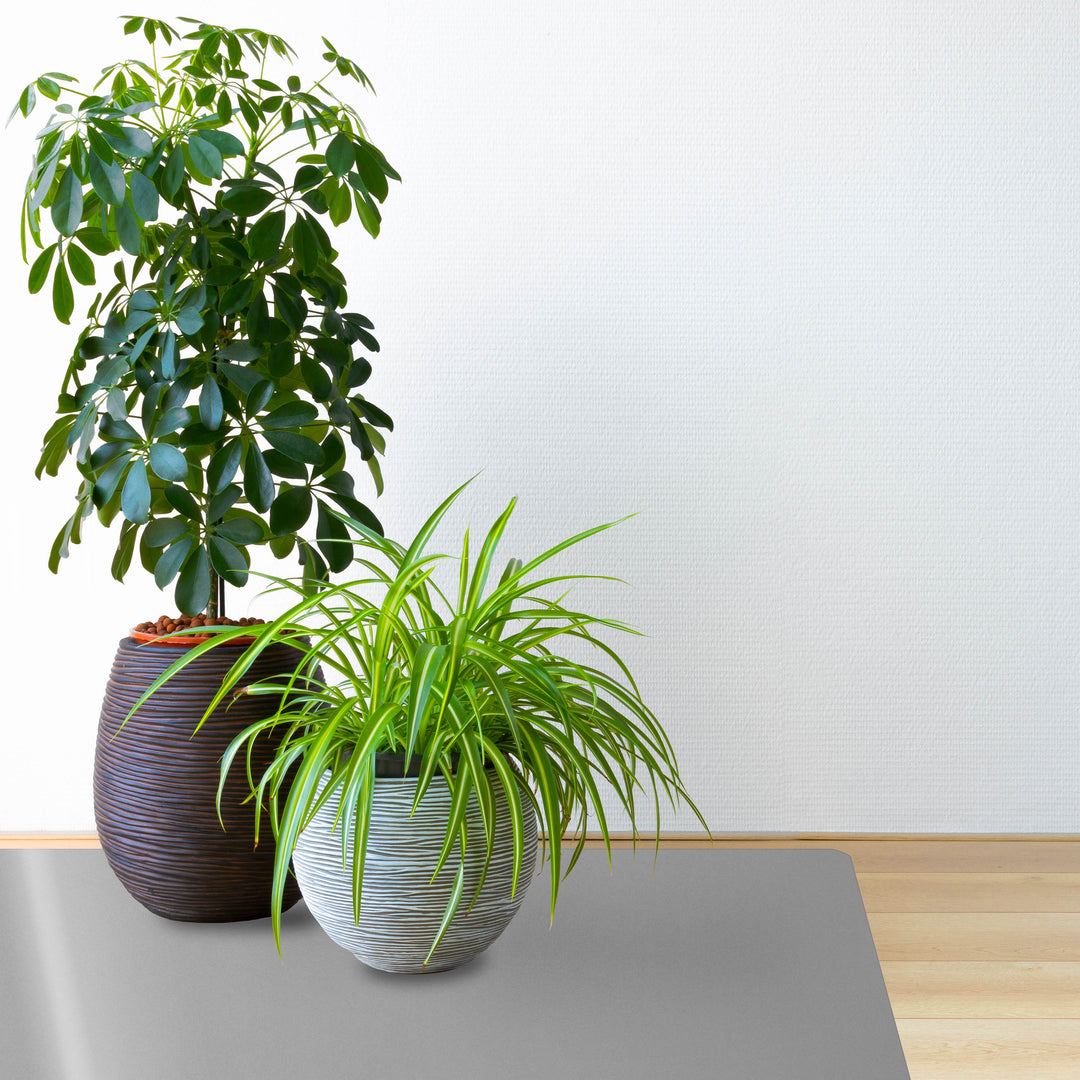 Topfpflanzen auf grauer Bodenschutzmatte CHROMA | Grau