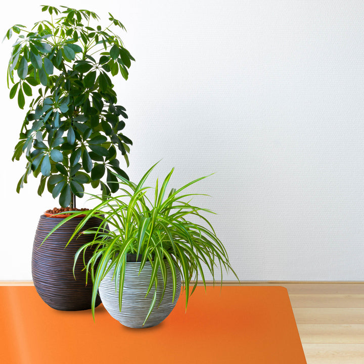Topfpflanzen auf orangener Bodenschutzmatte CHROMA | Orange