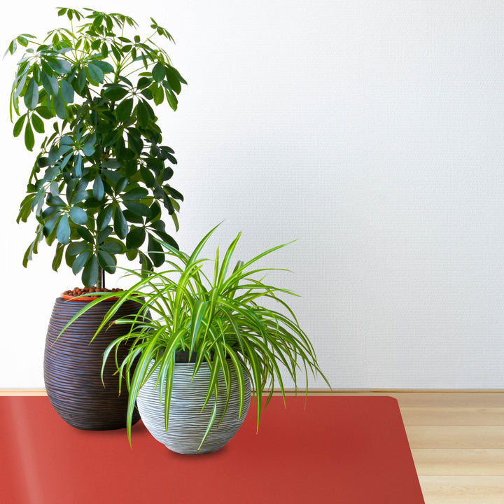 Topfpflanzen auf roter Bodenschutzmatte CHROMA | Rot