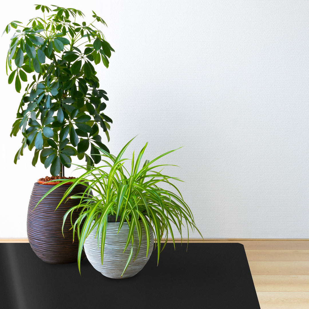 Topfpflanzen auf schwarzer Bodenschutzmatte CHROMA | Schwarz